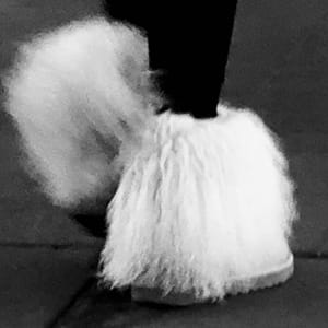 SHOE-3